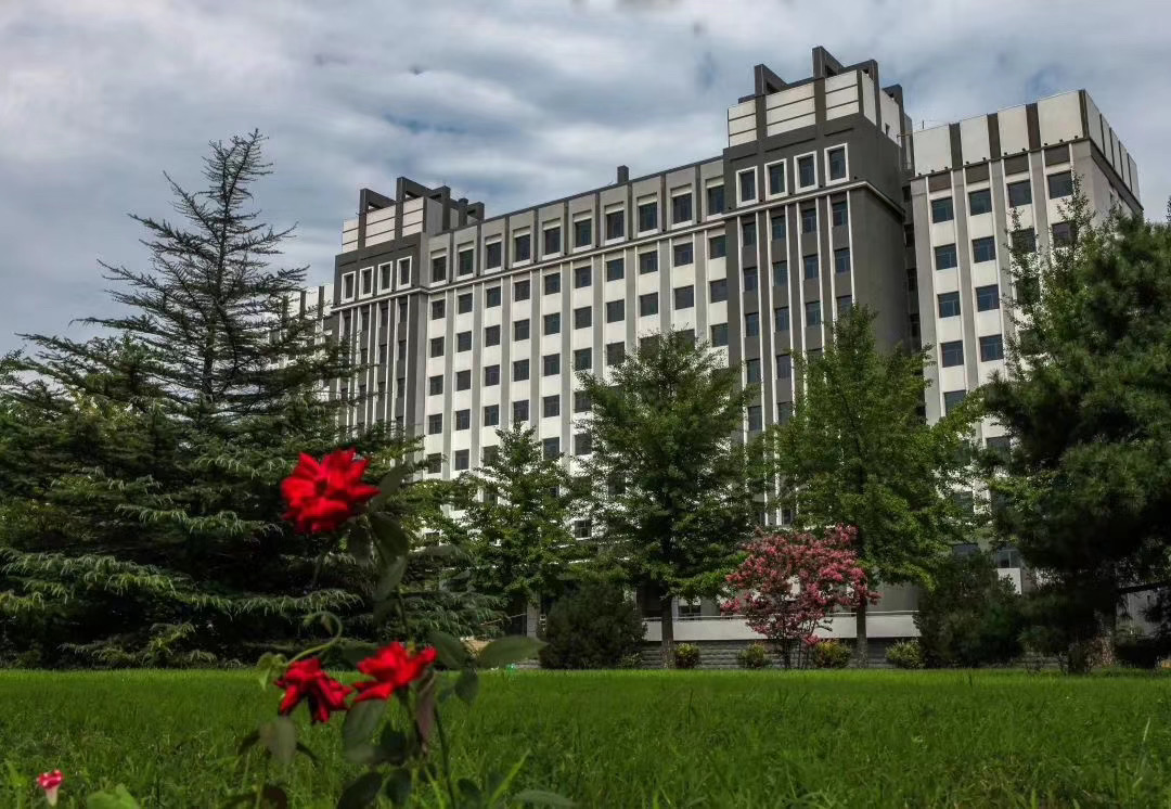 中国免费一级毛片宣传片